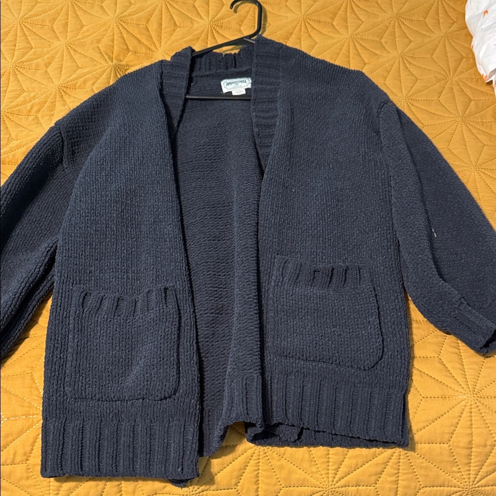 American Eagle Outfitters Navy Cardigan Sweater